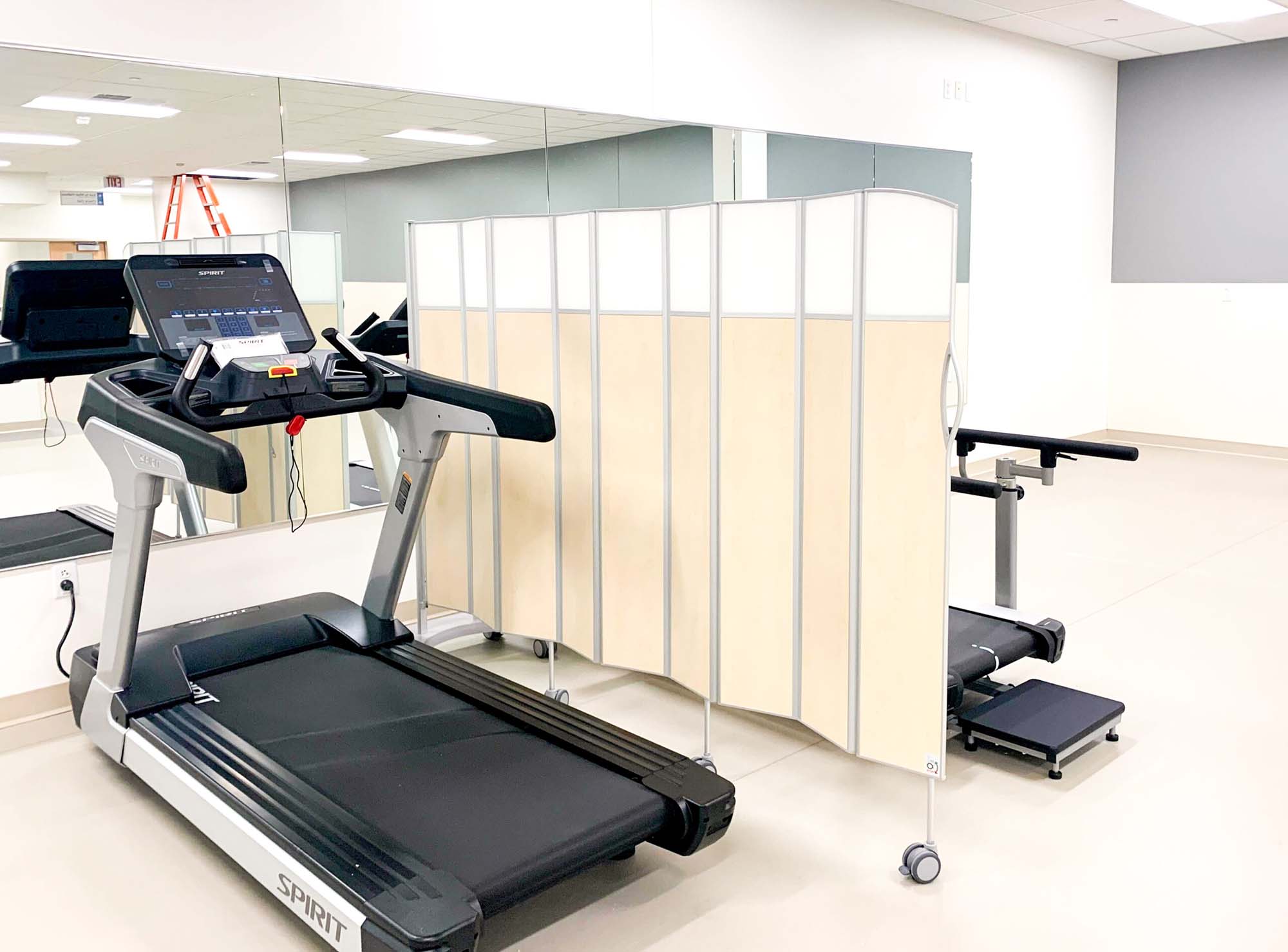 Birch-finish Silentia Fold screen dividing treadmills in a physiotherapy and rehabilitation room.