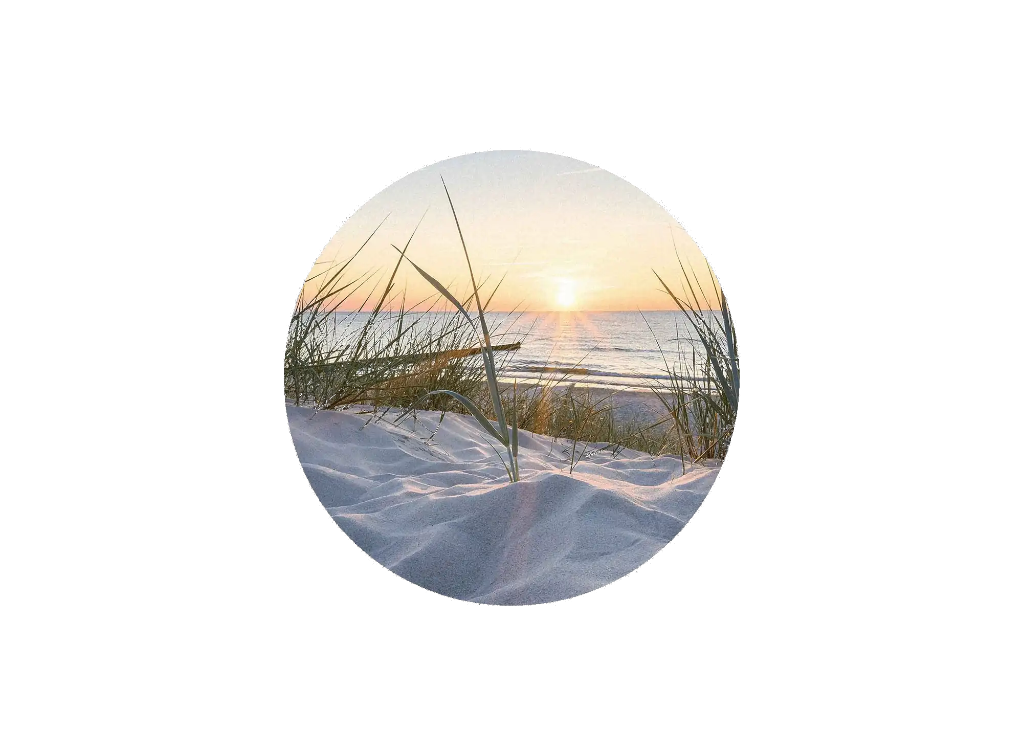 Rund miniature for designvalg med et PhotoPanels™-foto af solnedgang over en sandklit og hav.