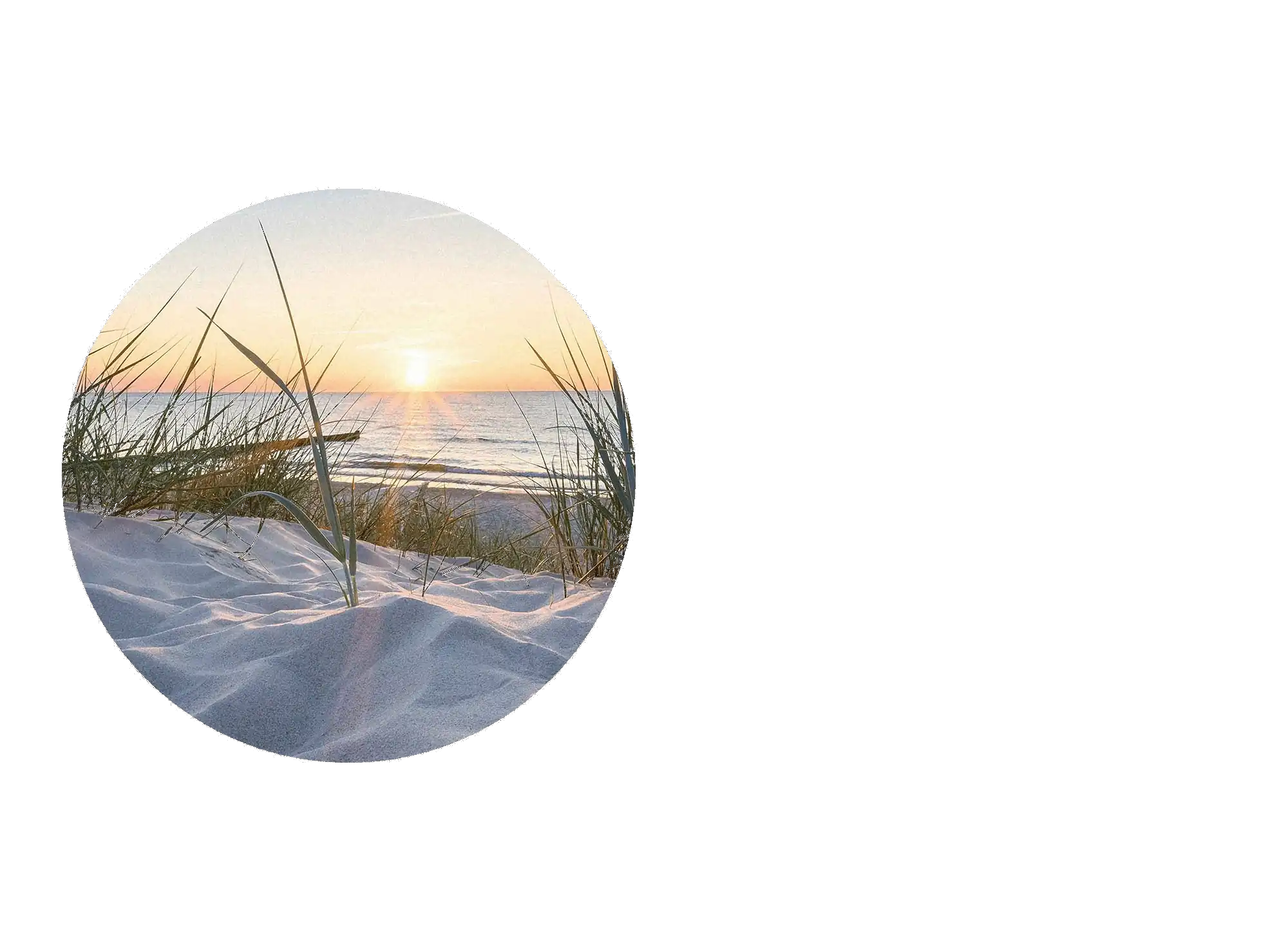 Miniature af designvalget PhotoPanels™ der viser et foto af en strandsolnedgang gennem klitgræs.